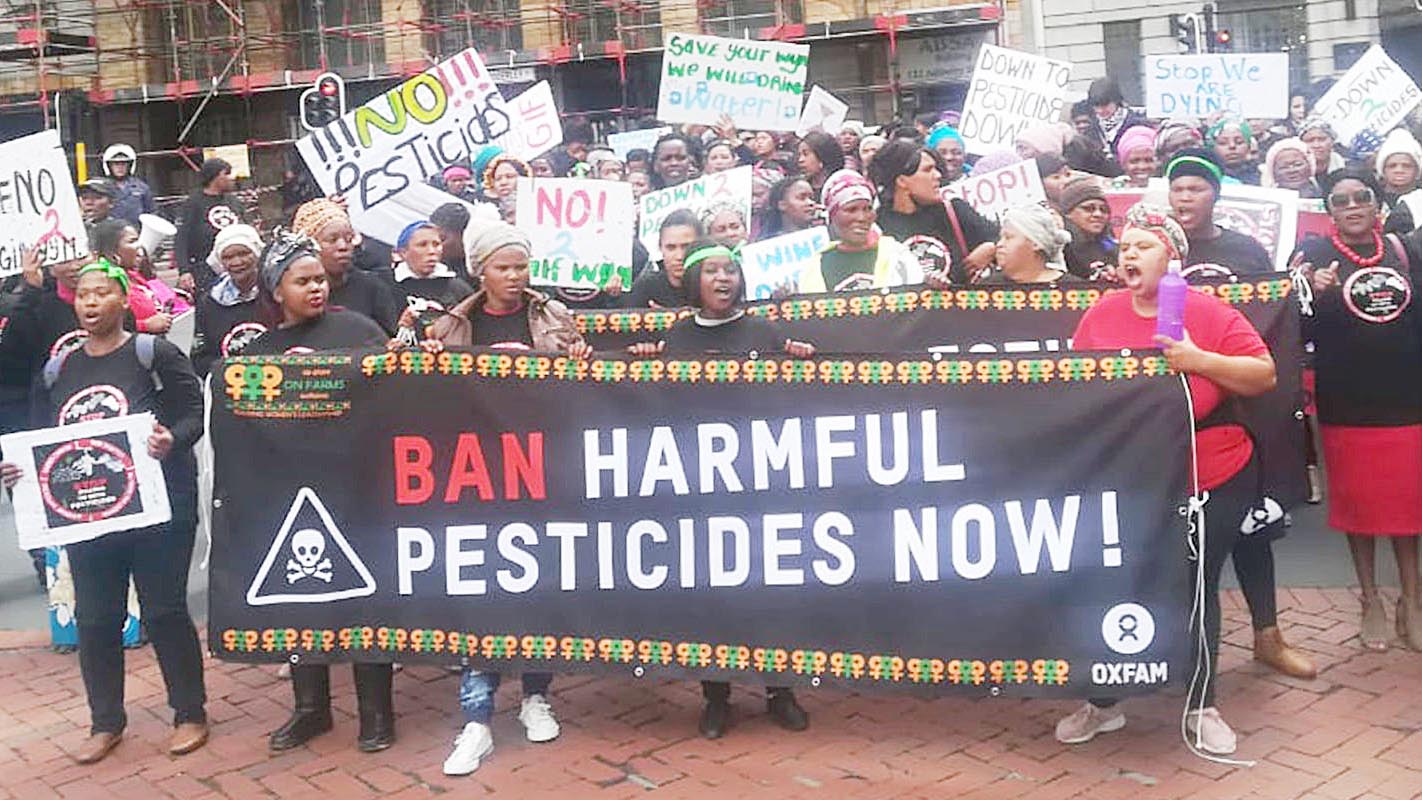 Masta 900 ban delay costs lives